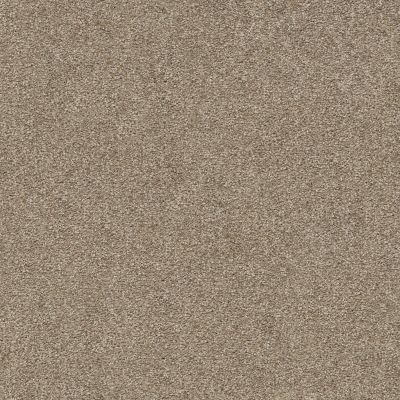 Shaw Floors SFA Find Your Comfort Ns Blue Camping Trip (s) 749S_EA816
