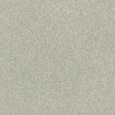 Shaw Floors SFA Find Your Comfort Tt I TEXTURE Willow Tree (t) 330T_EA817