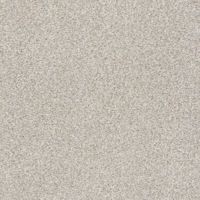 Shaw Floors SFA Find Your Comfort Tt II Chill In The Air (t) 126T_EA818