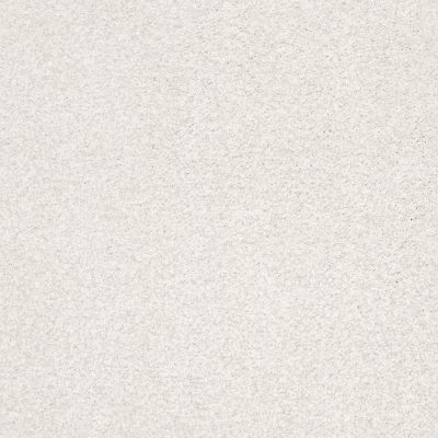 Shaw Floors SFA Find Your Comfort Tt Blue TEXTURE Neighborhood Bistro (t) 152T_EA819