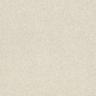 Shaw Floors SFA Find Your Comfort Tt Blue Champagne Toast (t) 153T_EA819
