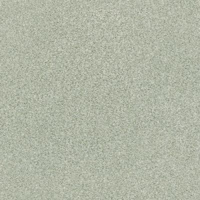 Shaw Floors SFA Find Your Comfort Tt Blue TEXTURE Willow Tree (t) 330T_EA819