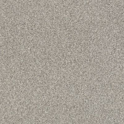 Shaw Floors SFA Find Your Comfort Tt Blue Back Patio (t) 724T_EA819