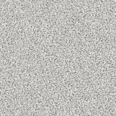 Shaw Floors SFA Find Your Comfort Ta II TEXTURE Glam Up (a) 163A_EA821