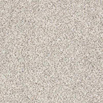 Shaw Floors SFA Find Your Comfort Ta II TEXTURE Front Row Seat (a) 183A_EA821