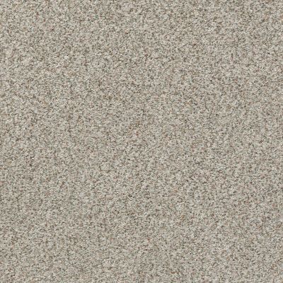 Shaw Floors SFA Find Your Comfort Ta Blue TEXTURE Backstage Pass (a) 198A_EA822