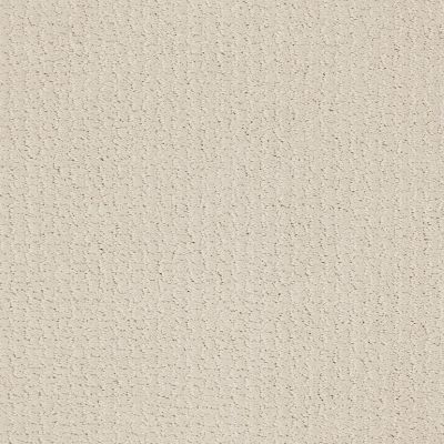 Shaw Floors SFA Warm Memories Blue Champagne Toast 153P_EA828