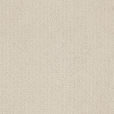 Shaw Floors Value Collections Warm Memoriesblnet Champagne Toast 0153P_EA831
