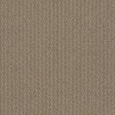 Shaw Floors Value Collections Warm Memoriesblnet Dockside View 0722P_EA831