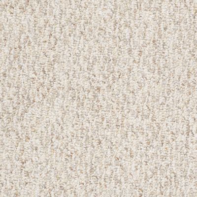 Shaw Floors Roll Special Ev351 Hazelnut 00701_EV351
