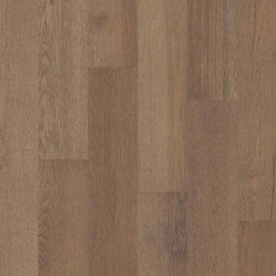 Shaw Floors Floorte Exquisite Balanced Hickory 07086_FH813