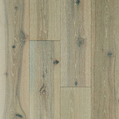 Shaw Floors Floorte Exquisite Beiged Hickory 01052_FH820