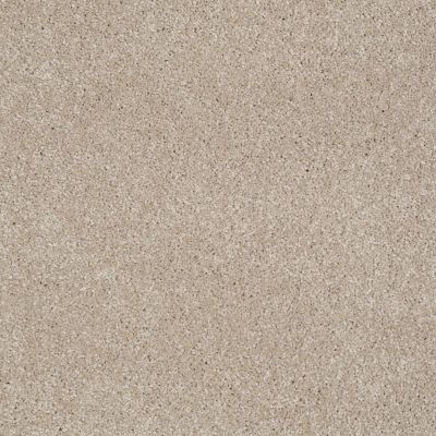 Shaw Floors Home Foundations Gold Parklane Meadows French Canvas 00102_FQ274