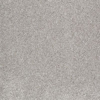 Shaw Floors Trenton Heights Frosted Ice 00510_FQ279