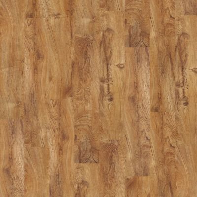 Shaw Floors Resilient Residential Partridge Plus Plank Tropic 00600_FR262