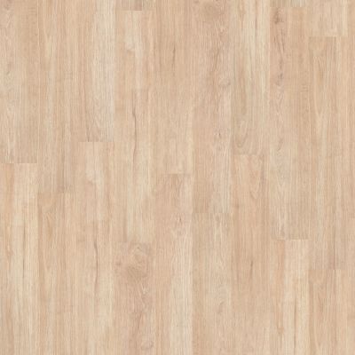 Shaw Floors Resilient Residential Blithe 6 Recourse 00126_FR549