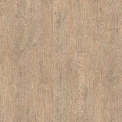 Shaw Floors Resilient Residential Blithe 6 Convenience 00529_FR549