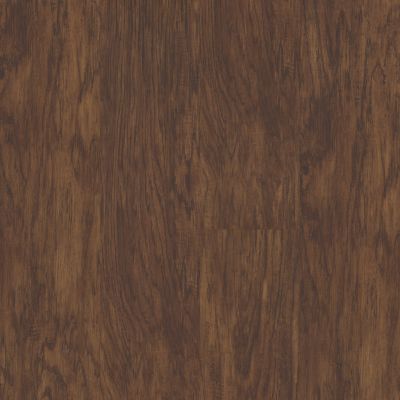 Shaw Floors Resilient Residential Eterna Click Paragon 00634_FR597
