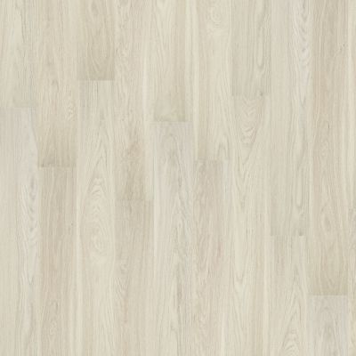 Shaw Floors Resilient Residential Sienna Vista Plus Majestic 00144_FR613