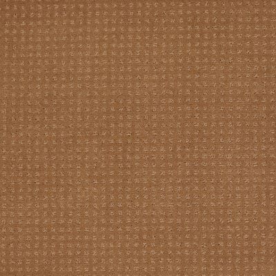 Shaw Floors Shaw Floor Studio Style Options Gold Coin 00202_FS148