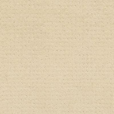 Shaw Floors Shaw Floor Studio Style With Ease Airy White 00100_FS150