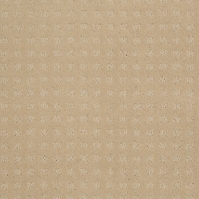 Shaw Floors Shaw Floor Studio Style With Ease Abalone 00101_FS150