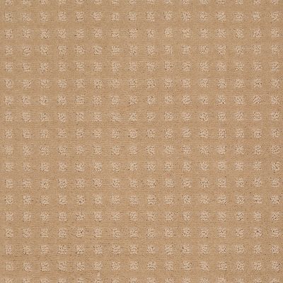 Shaw Floors Shaw Floor Studio Style With Ease Natural Grain 00103_FS150
