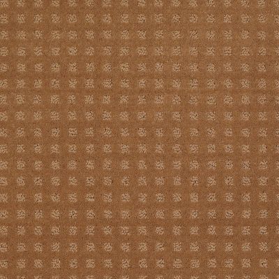 Shaw Floors Shaw Floor Studio Style With Ease Gold Coin 00202_FS150