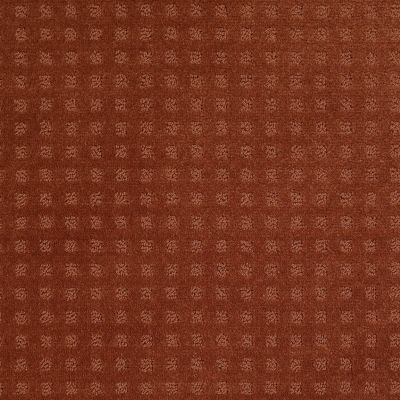 Shaw Floors Shaw Floor Studio Style With Ease Aged Copper 00600_FS150