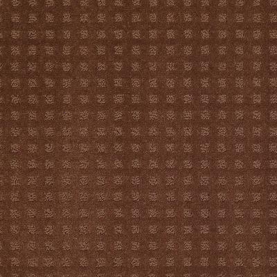 Shaw Floors Shaw Floor Studio Style With Ease Mocha Chip 00706_FS150