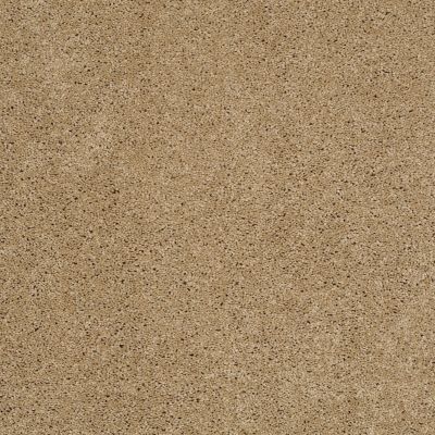 Shaw Floors Shaw Floor Studio Around The House I Cologne Mist 00128_FS192