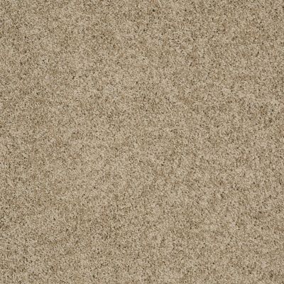 Shaw Floors Shaw Floor Studio Around The House III Driftwood 00700_FS194
