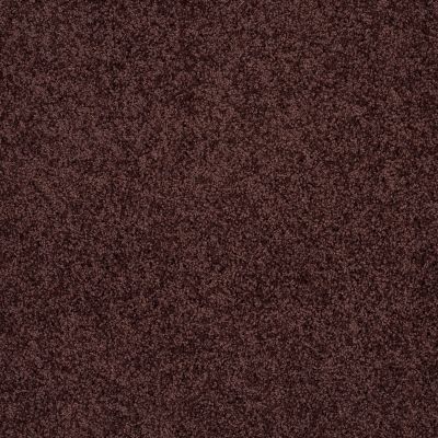 Shaw Floors Shaw Floor Studio Around The House III Plum Delight 00902_FS194