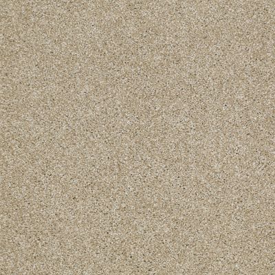 Shaw Floors Shaw Floor Studio Gelato Wool Skein 00111_FS222