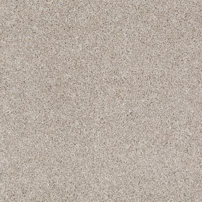 Shaw Floors Shaw Floor Studio Gelato Mist 00112_FS222