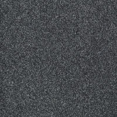 Shaw Floors Shaw Floor Studio Gelato Indigo 00411_FS222