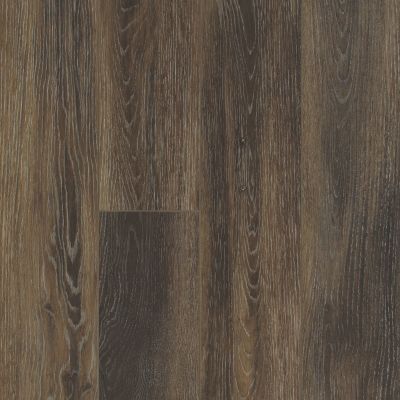 Shaw Floors Fischer Homes Chardon Lakes Cacao 00779_FSH90
