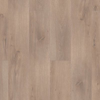 Shaw Floors Georgia Carpet Industries Rhythm Light Pewter 05051_G212C