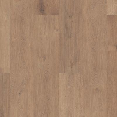 Shaw Floors Georgia Carpet Industries Rhythm Vintage Brown 07728_G212C