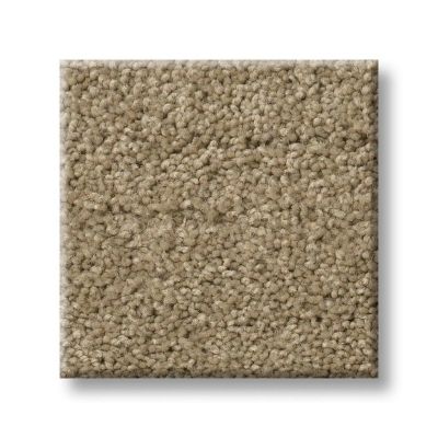 Shaw Floors Optimum Texture Prairie GF00710_E0523