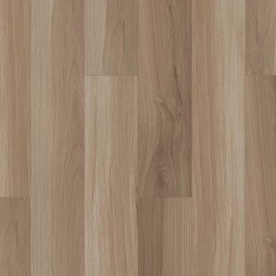 Shaw Floors Resilient Residential Gm100 Almond Oak 00154_GM100