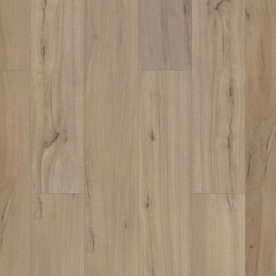 Shaw Floors Resilient Residential Gm100 Driftwood 01056_GM100