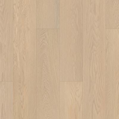 Shaw Floors Resilient Residential Gm100 Oceanfront 02012_GM100