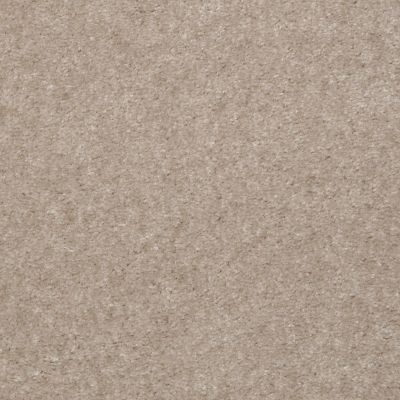 Shaw Floors Property Solutions Viper Desert Taupe 55114_HF255