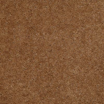 Shaw Floors Property Solutions Stonecrest II Harness Brown 00701_HF597