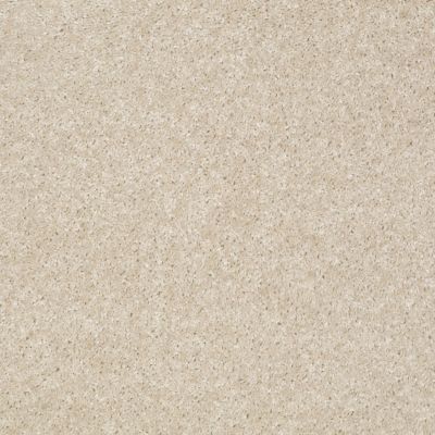 Shaw Floors Property Solutions Jetliner Stucco 00105_HF742