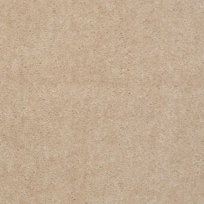 Shaw Floors Property Solutions Viper Classic Soft Butter 00108_HF862