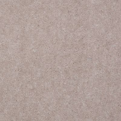 Shaw Floors Property Solutions Viper Classic Fossil 00115_HF862