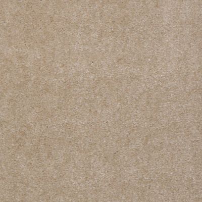 Shaw Floors Property Solutions Viper Classic Old Leather 00150_HF862