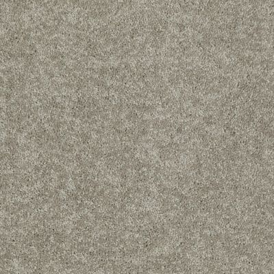 Shaw Floors Home Foundations Gold Orchard Mill II 15′ Taupe Mist 55792_HG082